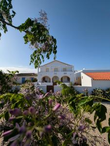 uitzicht op het huis vanuit de tuin bij Ria Endless South - Barroca Village - Sítio da Fortaleza in Tavira