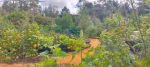 Κήπος έξω από το Sixty Six