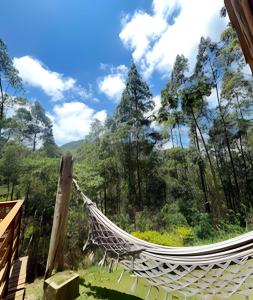 Naturlandskabet i nærheden af lejligheden