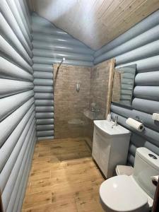 a bathroom with a toilet and a sink at Отель MONBLAN in Yablunytsya +28 photos