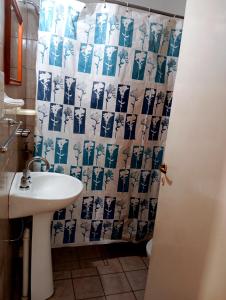 ein Badezimmer mit Waschbecken und Duschvorhang in der Unterkunft LUNA CAUTIVA in Santa Rosa de Calamuchita