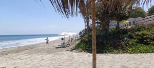 Φυσικό τοπίο κοντά σε αυτό το διαμέρισμα