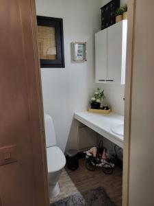 Villa Spark of Lapland في روفانييمي: حمام مع مرحاض أبيض ومغسلة +20 صورة