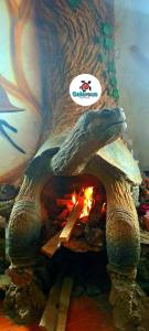 Fotografie z fotogalerie ubytování Suite Galarous Island v destinaci Puerto Ayora