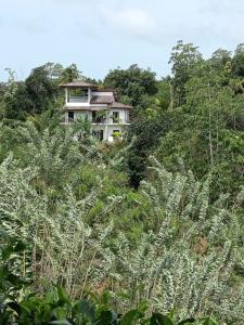 Κήπος έξω από το TG Home Stay Villa Ahnagama