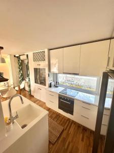 Η κουζίνα ή μικρή κουζίνα στο Apartman Ruzmarin 23