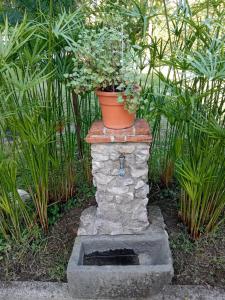 Zahrada ubytování VillaAurora