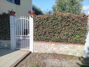 Fotografie z fotogalerie ubytování VillaAurora v destinaci Lucca + 1 fotografie