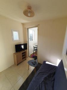 a living room with a bed and a flat screen tv at Cozy studio with private garden and separate entrance in Villeneuve-Loubet +17 photos