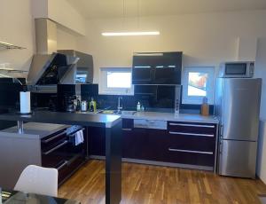 Kuchyň nebo kuchyňský kout v ubytování Penthouse TAMINO TOP 11