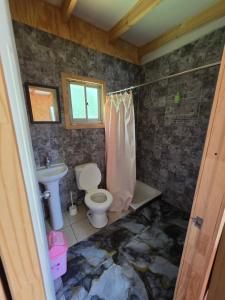 a bathroom with a toilet and a sink at Cabaña Playa Chauquen in Neltume