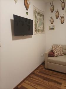TV a/nebo společenská místnost v ubytování Panoramablick Zirbitzkogel