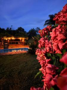 Πισίνα στο ή κοντά στο Maravilhosa Casa da Floresta