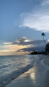 - une plage avec un palmier et l'océan dans l'établissement Ensuite rooms in a furnished apartment in Tudor, Mombasa TF1, à Mombasa
