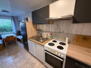 a small kitchen with a stove and a sink at Apartment bei Oberndorf - Schwanenstadt in Schwanenstadt