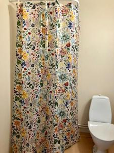 a bathroom with a shower curtain with a toilet at Grand Hotell & Hostel Strömsund in Strömsund +23 photos
