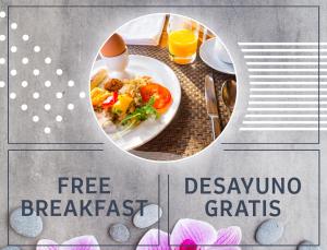 Comida en el apartahotel o alrededores