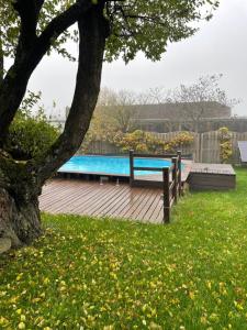 キラーウィラーにあるClos Suzette - Gîte de groupe - Maison de vacances - Kirrwillerの木の植わる庭のスイミングプール