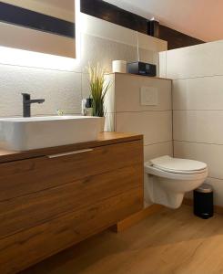 a bathroom with a sink and a toilet at COCOONING near DINANT 300m from River Meuse in Blaimont