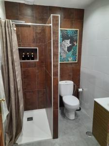 Un baño con inodoro y ducha en Casa Carla, en Granadilla de Abona 4 fotos más