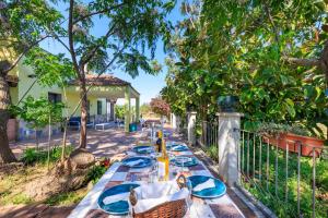 a long table with blue plates on it in front of a fence at Casa Rural Mas ROTAVELLA in Montbrió del Camp