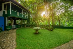 een groene tuin met een vogelbad voor een huis bij VillaWatuna in Unawatuna