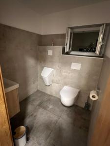 a bathroom with a toilet and a sink and a mirror at Haus am Fischteich in Feistritz ob Bleiburg +59 photos