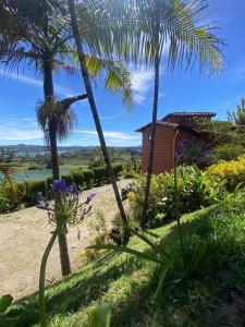 El PeñolにあるRocks Glamping - Guatapé, El Peñolのヤシの木と家の庭