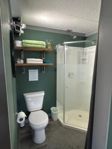 a bathroom with a shower and a white toilet at Cozy cabin in Clearwater