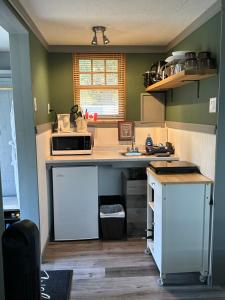 a kitchen with a counter with a sink and a microwave at Cozy cabin in Clearwater