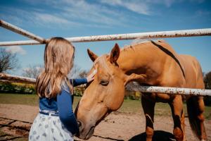 a little girl petting a brown horse by a fence at Penzion Albertovec in Opava