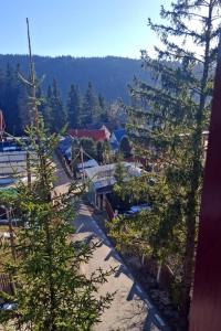 Příroda nedaleko penzionu