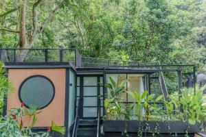 Zahrada ubytování The Box by Wynwood House + 53 fotografií