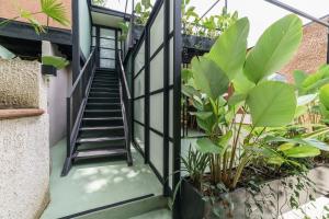 a staircase leading up to a house with plants at The Box by Wynwood House in El Salvador