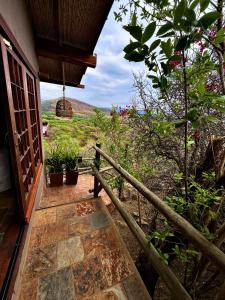 Příroda nedaleko apartmánu + 8 fotografií