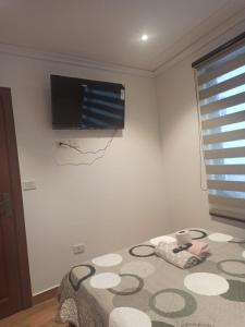 TV a/nebo společenská místnost v ubytování Edificio TOP HOUSE