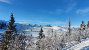 a snow covered hill with trees on it at Utsikt mot fjellene Ski in out 16 sengeplasser in Aurdal