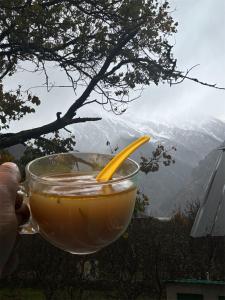 Een hand met een lepel erin. bij Ghumakkad Homestay in Harsil
