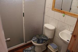 a bathroom with a toilet and a sink at Cabaña 1 Dos Laureles in Panguipulli