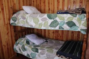 two bunk beds in a wooden room at Cabaña 1 Dos Laureles in Panguipulli