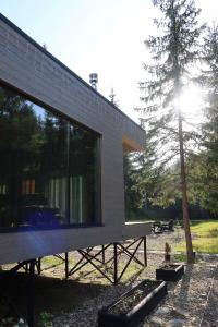 KrivopolʼyeDebri family的房屋的一侧设有大窗户