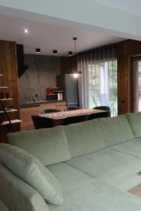 un salon avec un canapé et une cuisine dans l'établissement Debri family, à Krivopolʼye 17 autres photos