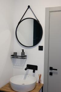 une salle de bain avec un lavabo et un miroir au mur dans l'établissement Debri family, à Krivopolʼye