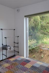 un chat assis sur une étagère à côté d'une fenêtre dans l'établissement Debri family, à Krivopolʼye