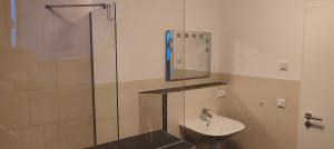 a bathroom with a sink and a shower at Grüne Auszeit Dresden in Dresden