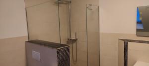 a shower with a glass door in a bathroom at Grüne Auszeit Dresden in Dresden