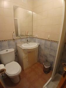 a bathroom with a toilet and a sink and a mirror at Luz del Guadiana in Ayamonte