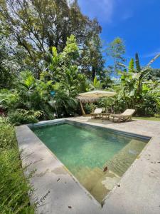 ein Swimmingpool in einem Hof mit Tisch und Stühlen in der Unterkunft Manzanillo Pool House in Manzanillo