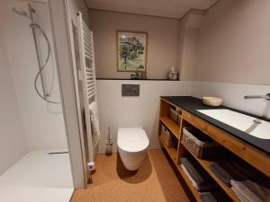 ein Badezimmer mit Toilette und Waschbecken in der Unterkunft Mattishüüsli - Chalet with a little garden in Luchsingen + 27 Fotos