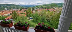 four potted plants on a balcony overlooking a city at VISOKO Room in Visoko